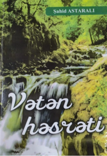 Vətən həsrəti